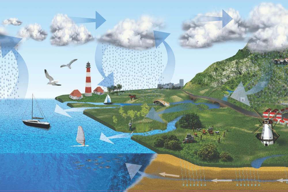 the water cycle