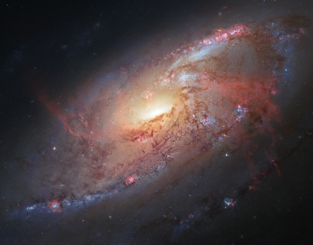 cosmology