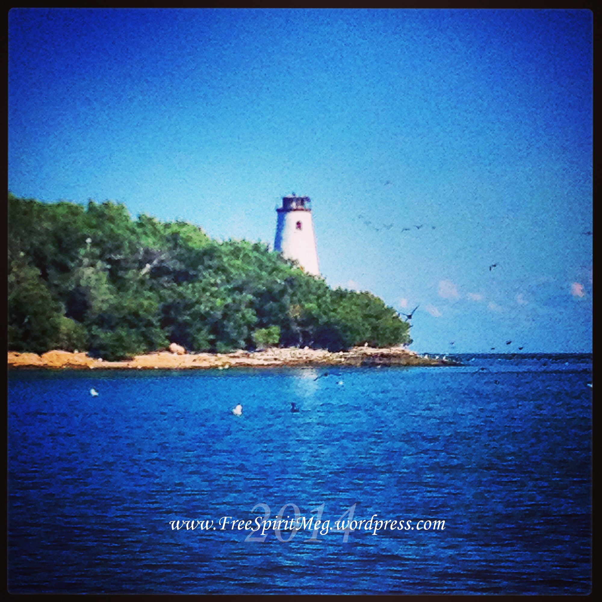 2014 West Sister Island