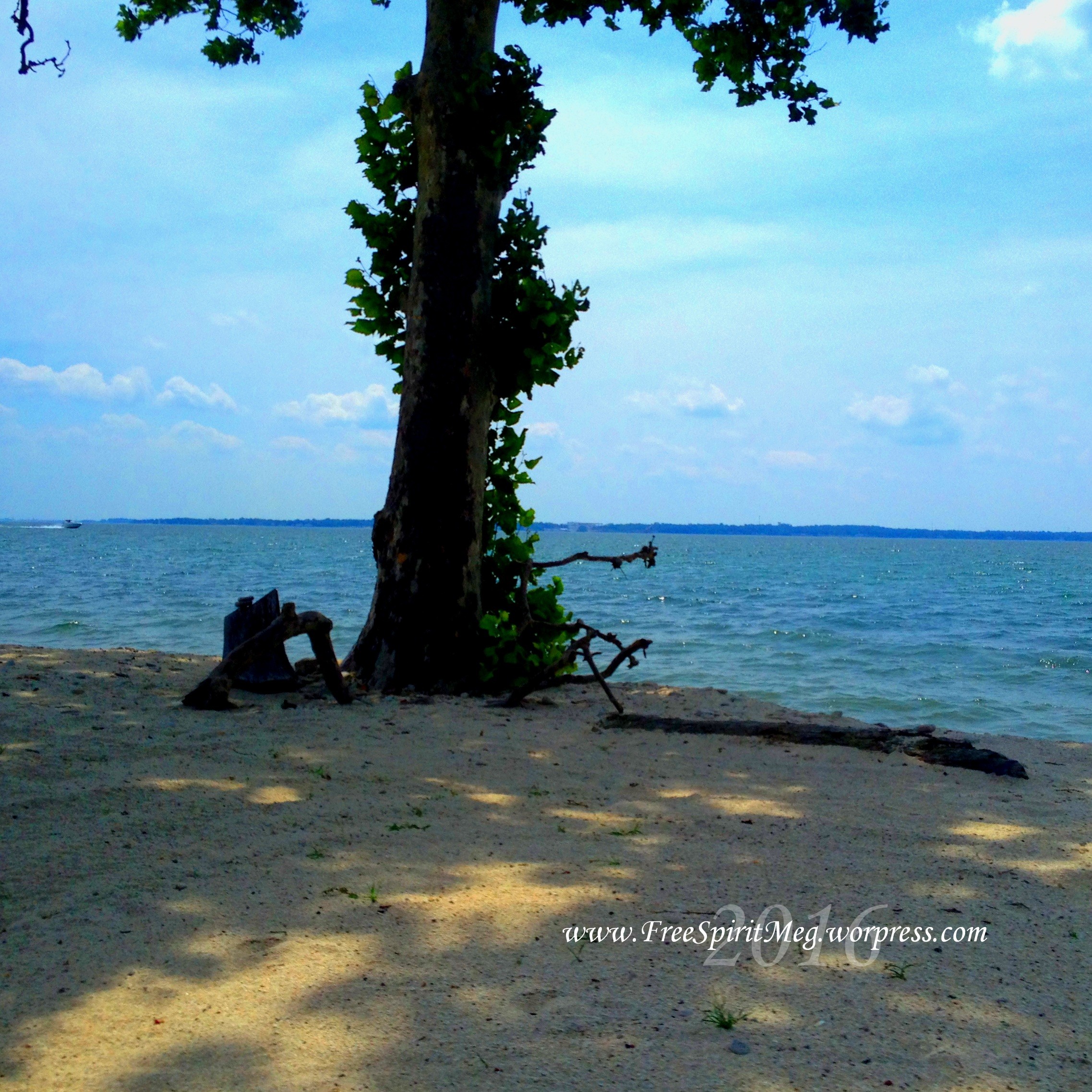 2016 Kelley's Island