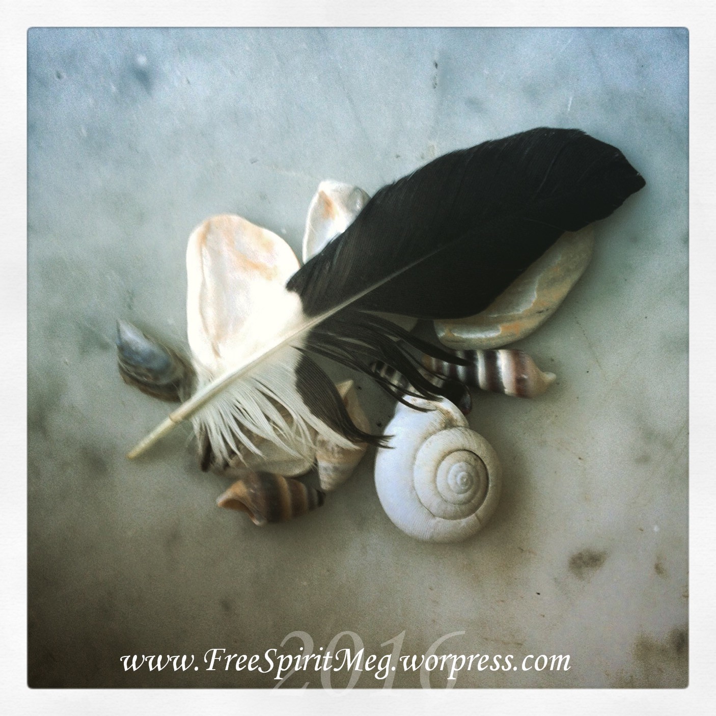 2016 Kelley's Island