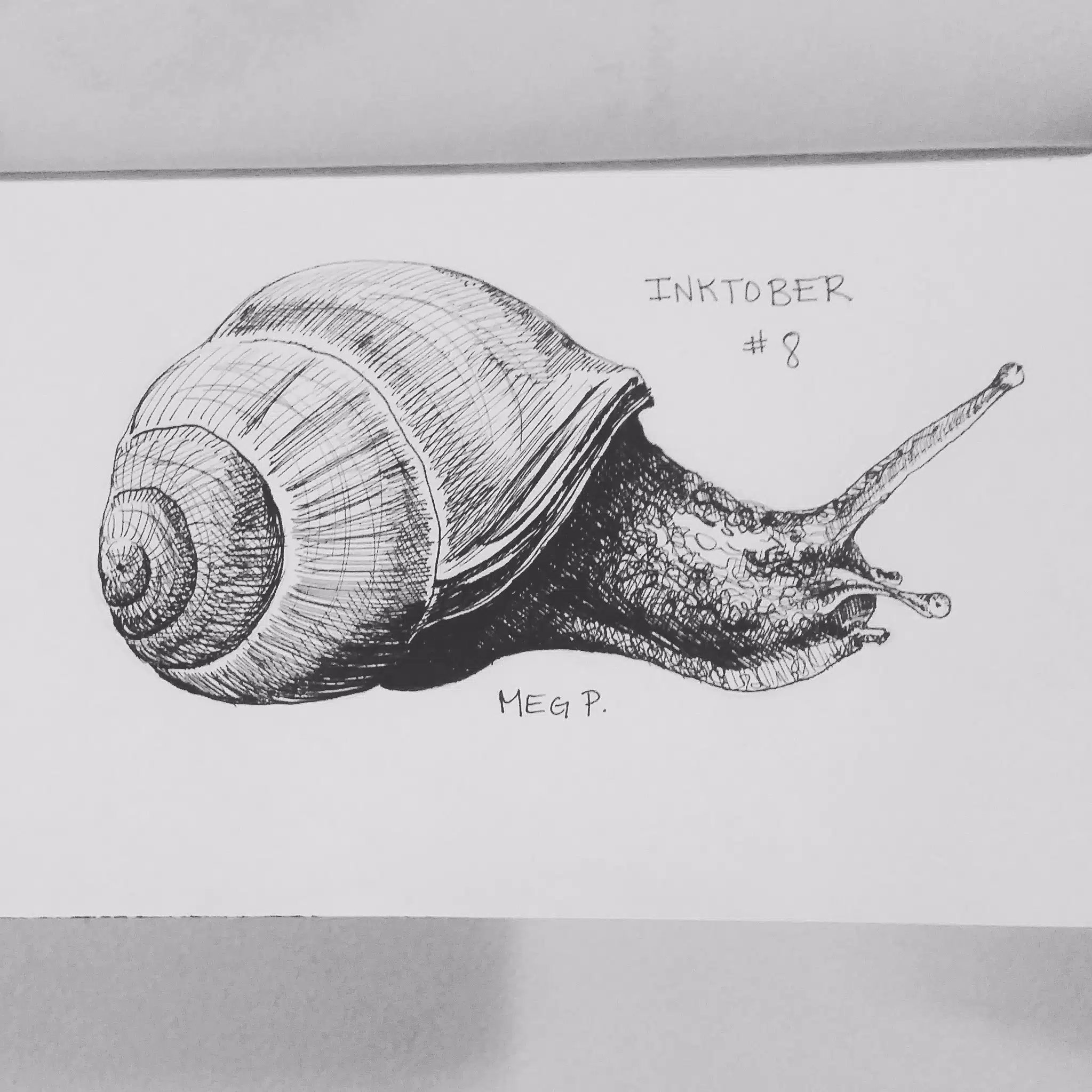 The snails are everywhere! They are very interesting in the way they move and can contort their gelatinous bodies.