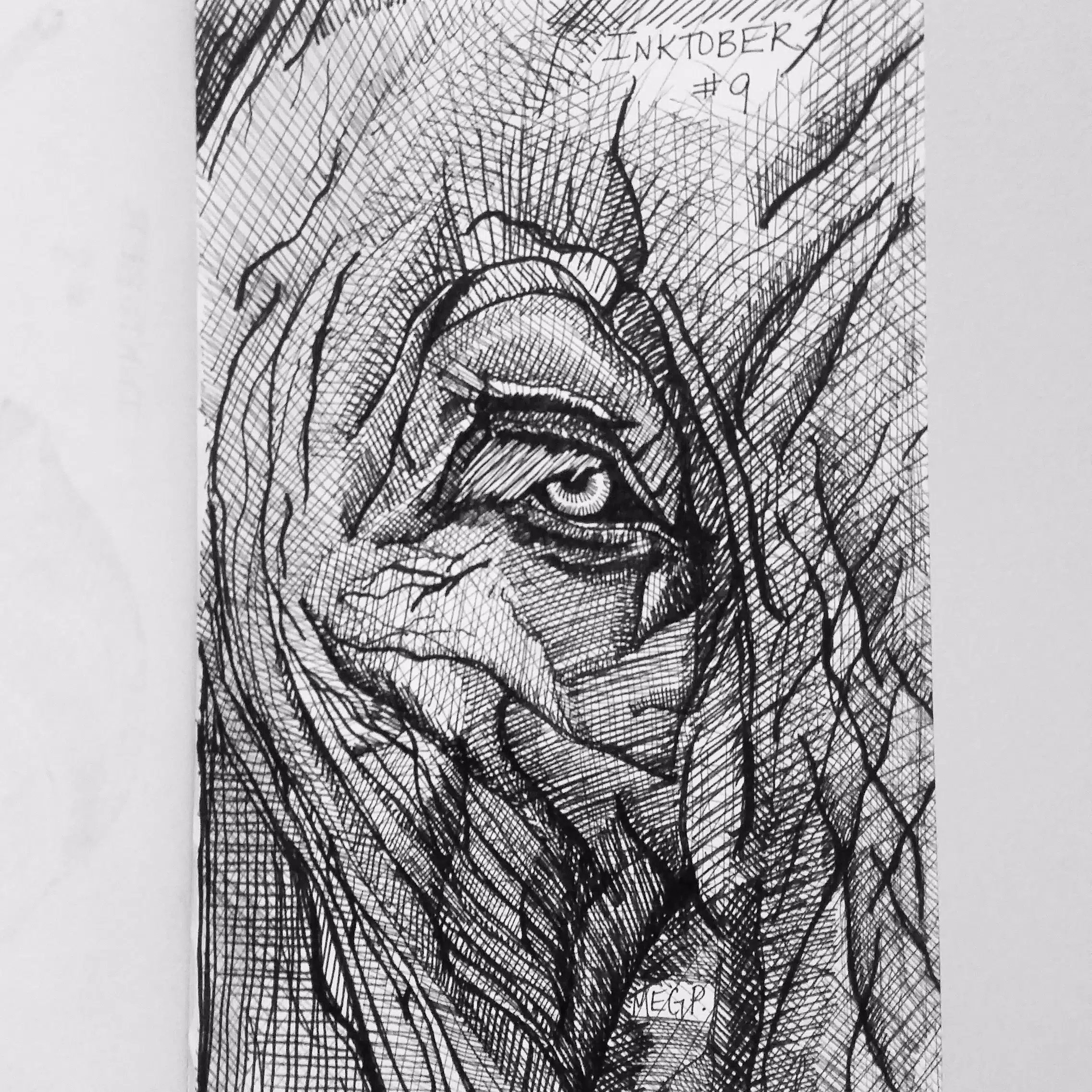 I have always admired elephants. They are wisdom keepers. The whales look after the sea and the elephants look after the lands.