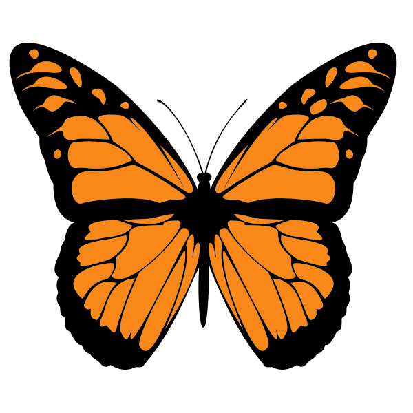 Download Butterfly layered svg, violet orange layered svg, butterfly svg file for cricut, butterfly vector, butterfly png, butterfly clipart · 1. Vector Image Of Orange Butterfly With Wide Spread Wings Free Svg Free SVG