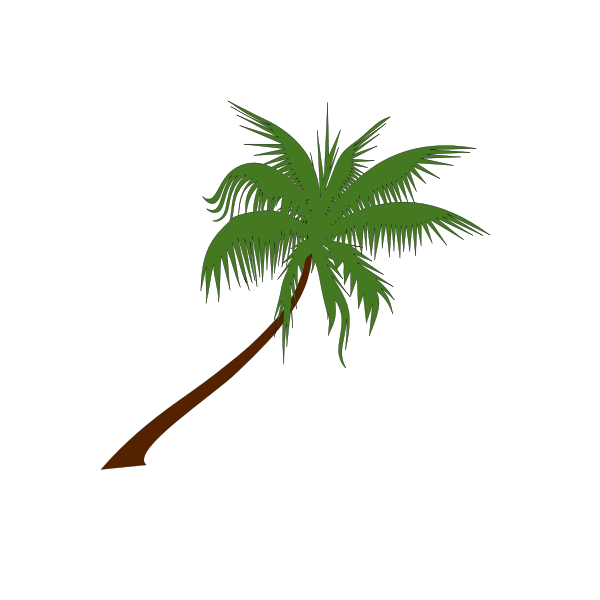 Vector transparent shadows of leaves. Palm Tree Free Svg