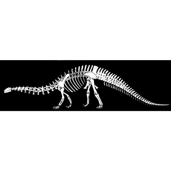 The backgrounds for the bumpers were given color schemes to fit with the time of the day the shows aired: Dino S Bones Free Svg