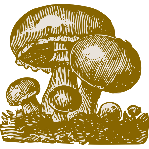 Check out our mushroom svg selection for the very best in unique or custom, handmade pieces from our shops. Mushrooms Vector Image Free Svg
