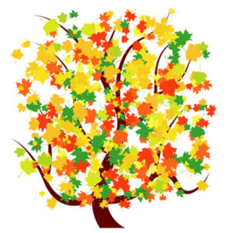 Free Vector Autumn Tree - Premium City Illustration Gallery - Mobile