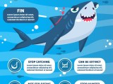 Infographic Of Protect The Sharks Freevectors