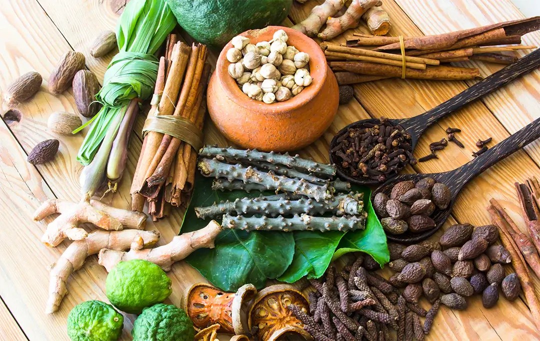 Unlocking Wellbeing: WellHealth Ayurvedic Health Tips for a Balanced Life