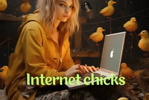 The World of Internet Chicks: A Comprehensive Guide