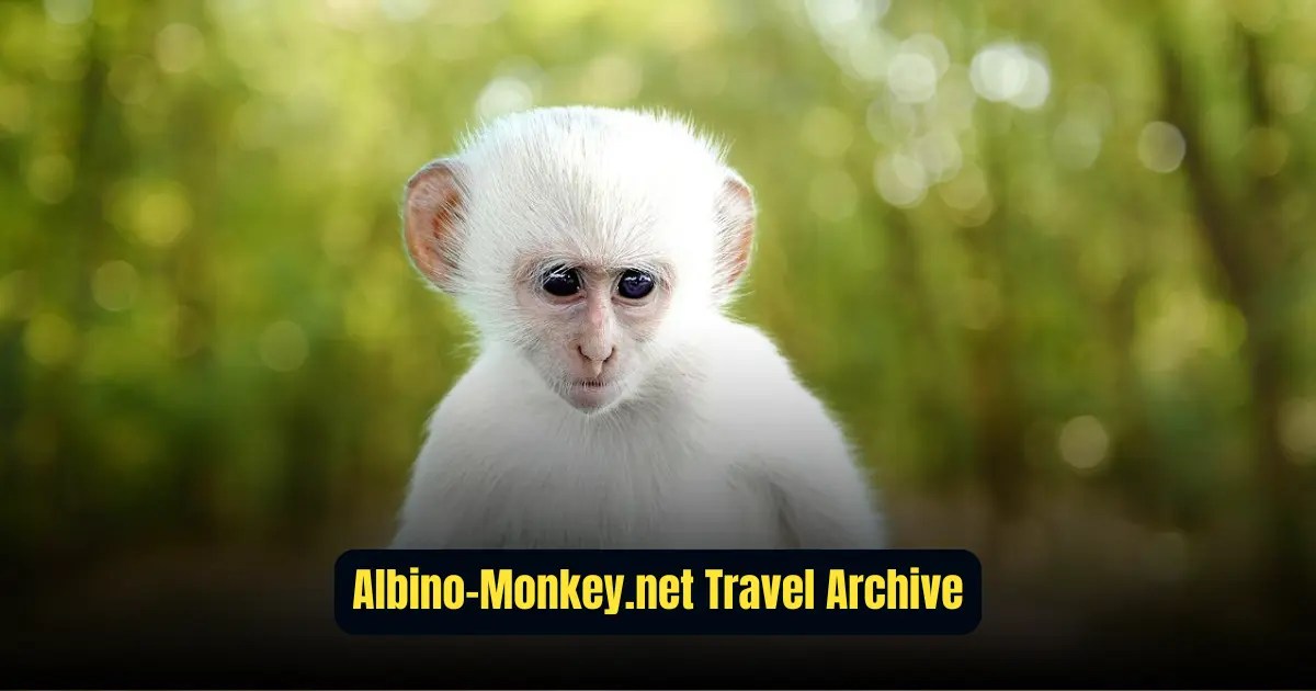 ALBINO-MONKEY.NET TRAVEL ARCHIVES: A Treasure Trove of Unique Adventures