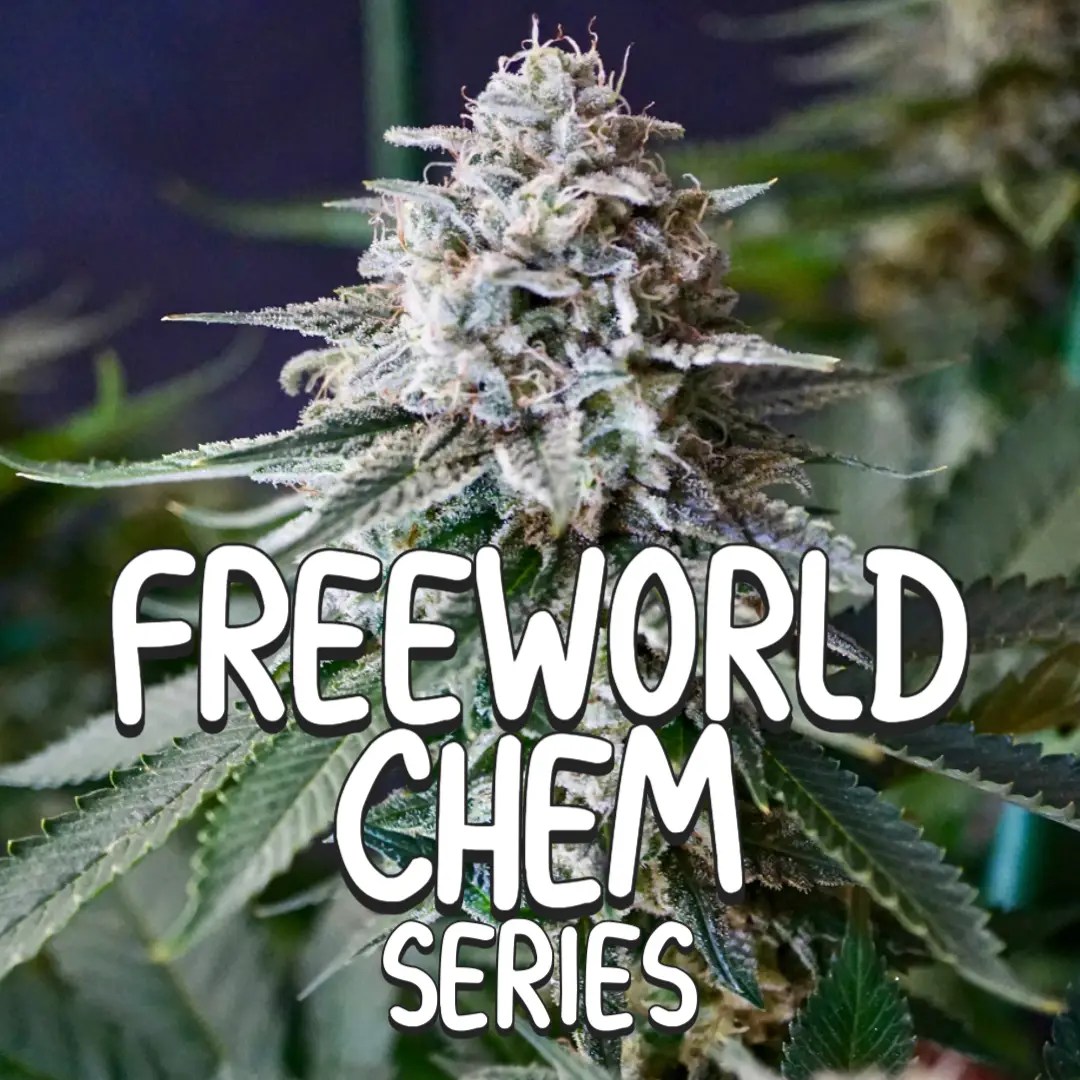 Freeworld Chem Seed