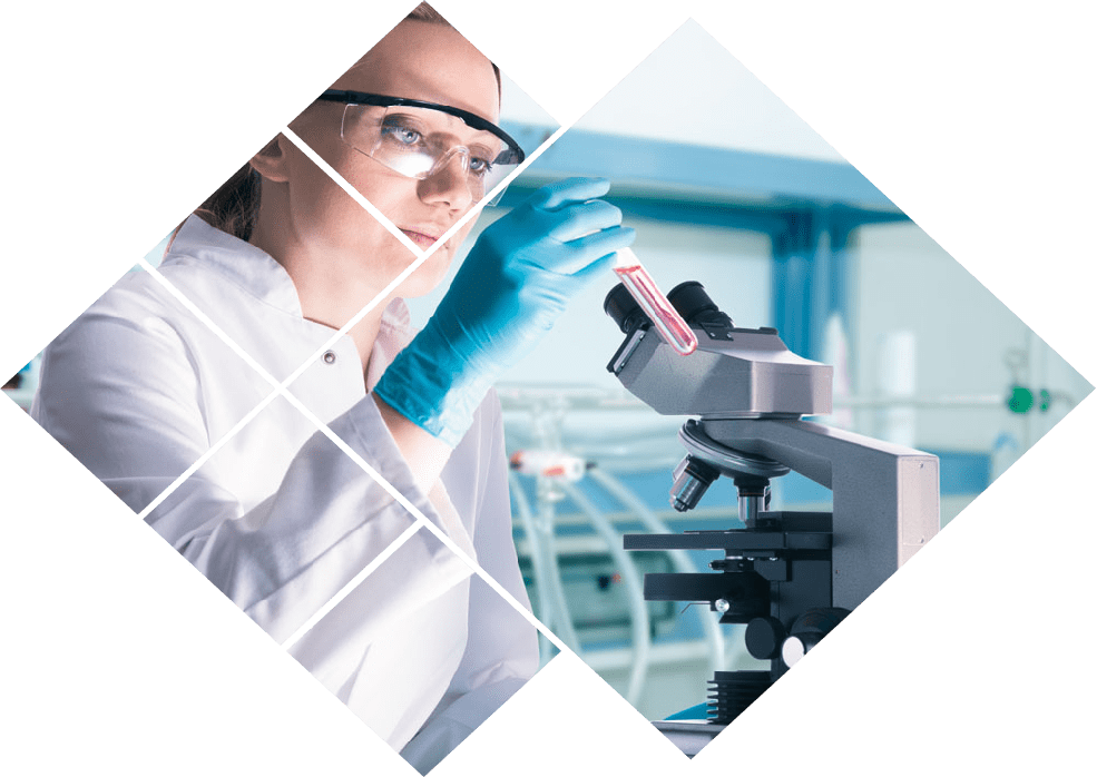 Small laboratory freeze dryer for biological sample preservation Research laboratory lyophilization machine for biotech applications



