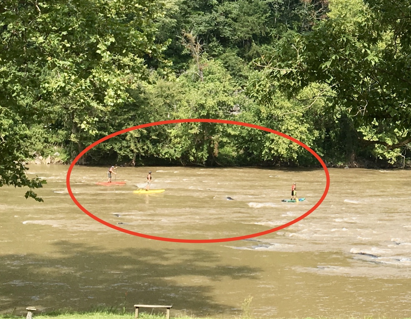 Paddleboarders 8-4-19