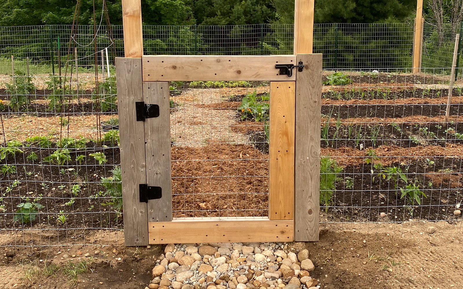Diy Garden Fence Ideas