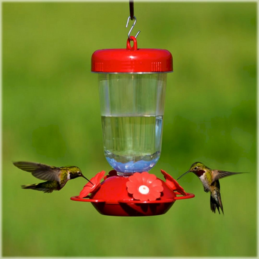 Red Flower Hummingbird Feeder
