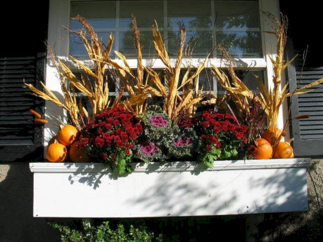 Fall Window Boxes 1