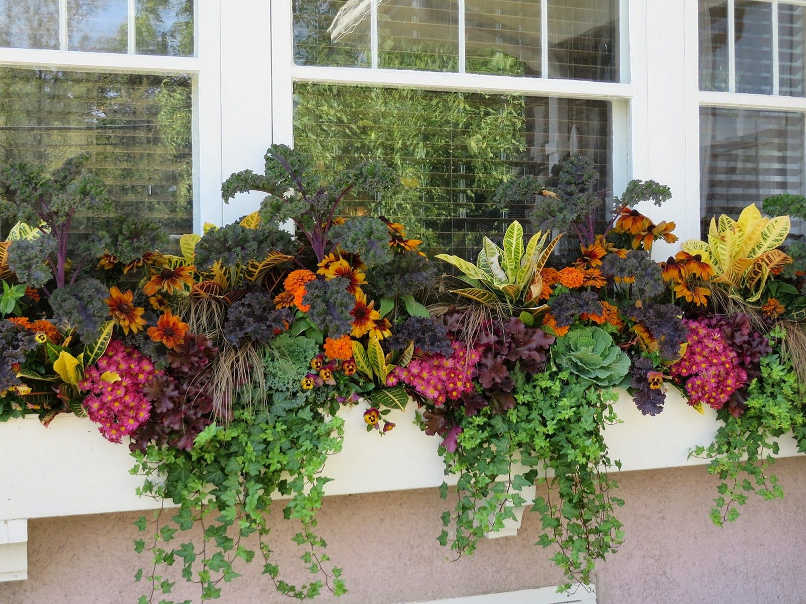 Fall Window Boxes 2