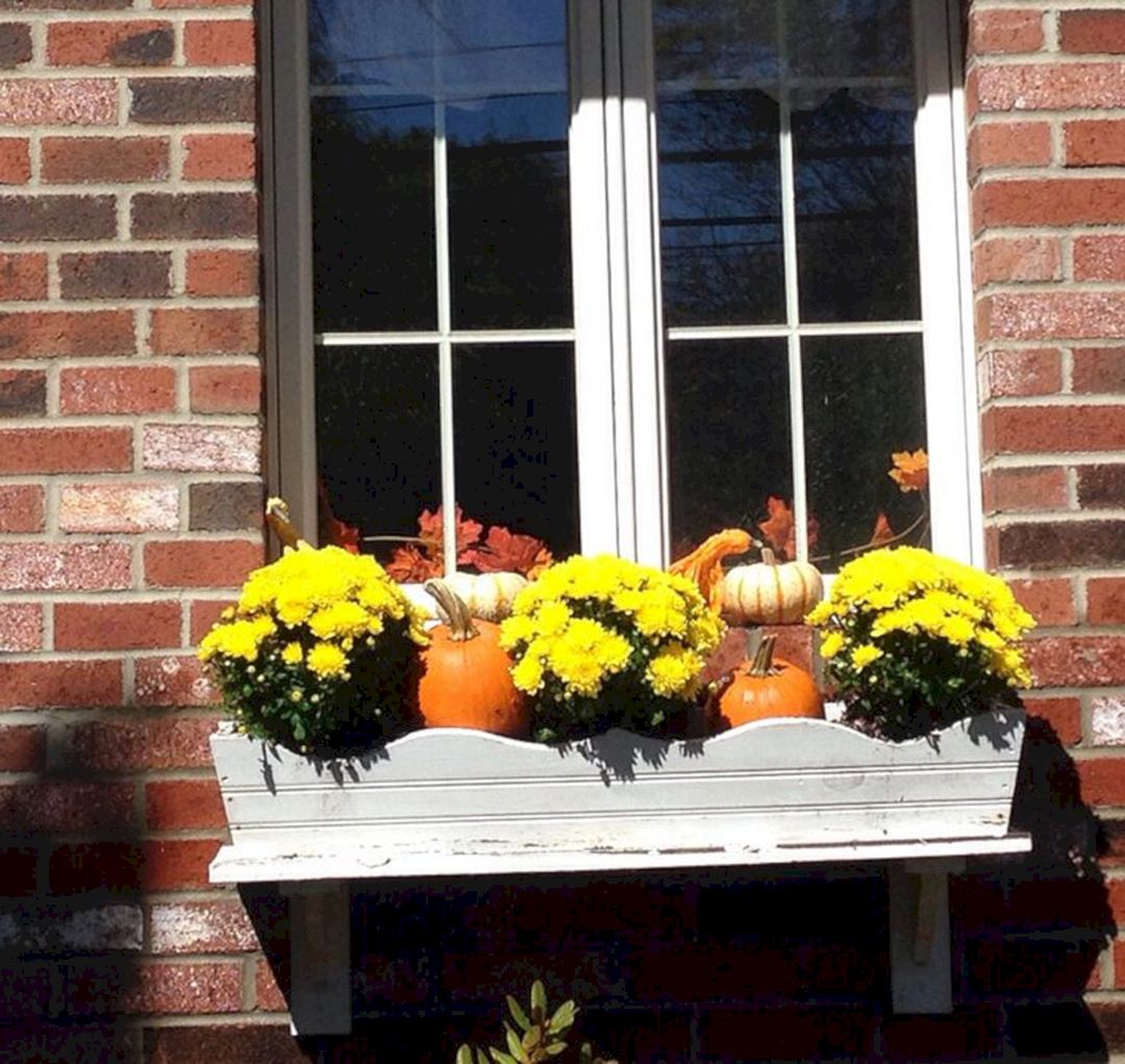 Fall Window Boxes 22