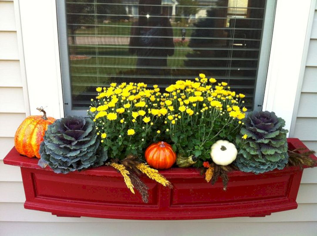 Fall Window Boxes 37