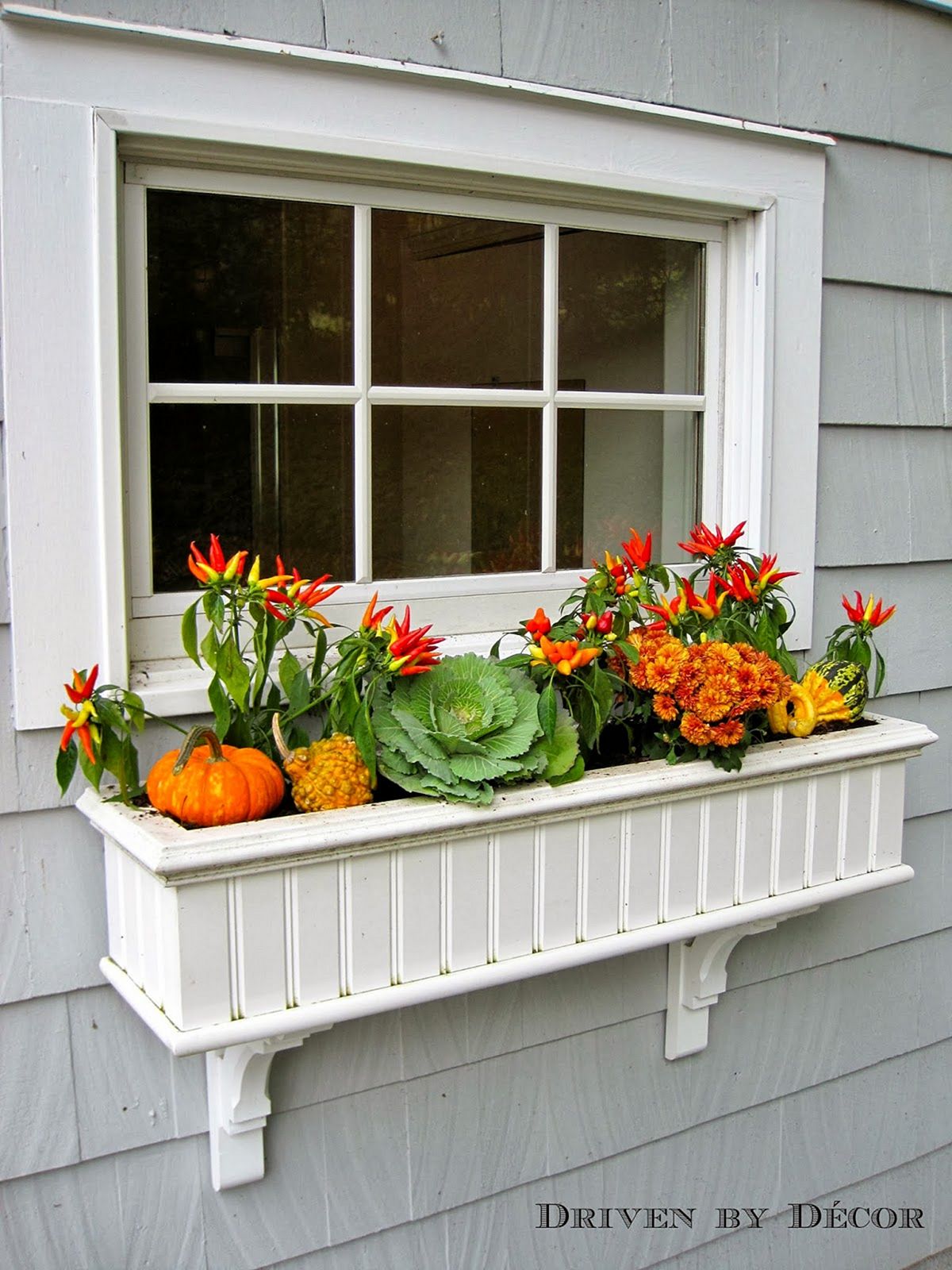 Fall Window Boxes 4