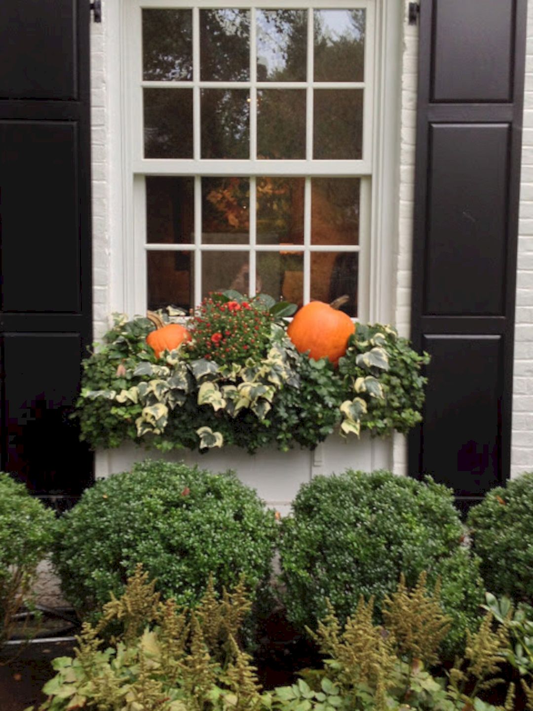 Fall Window Boxes 7