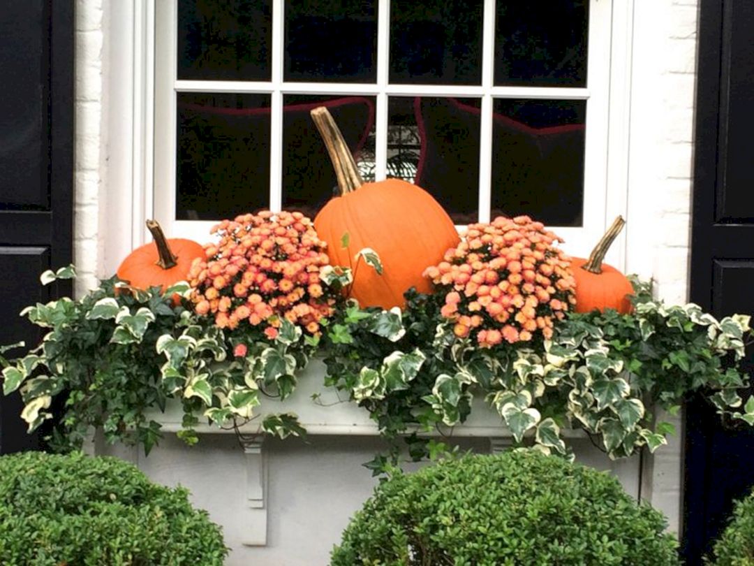 Fall Window Boxes 9