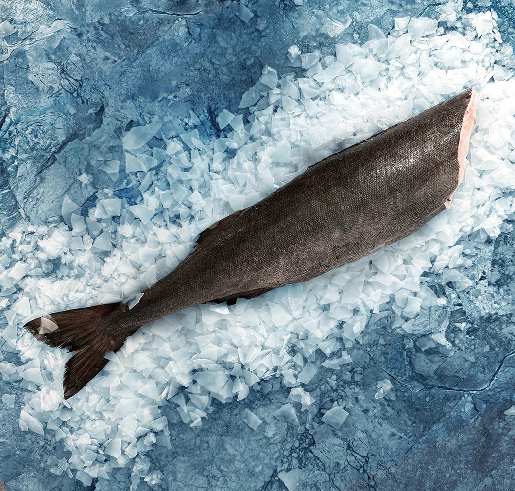 Whole Black Cod Sablefish Pure Food Fish Market