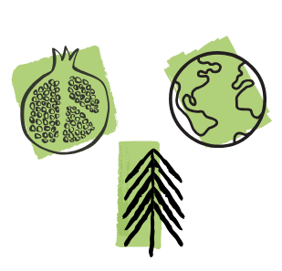 everafterinthewoods.com