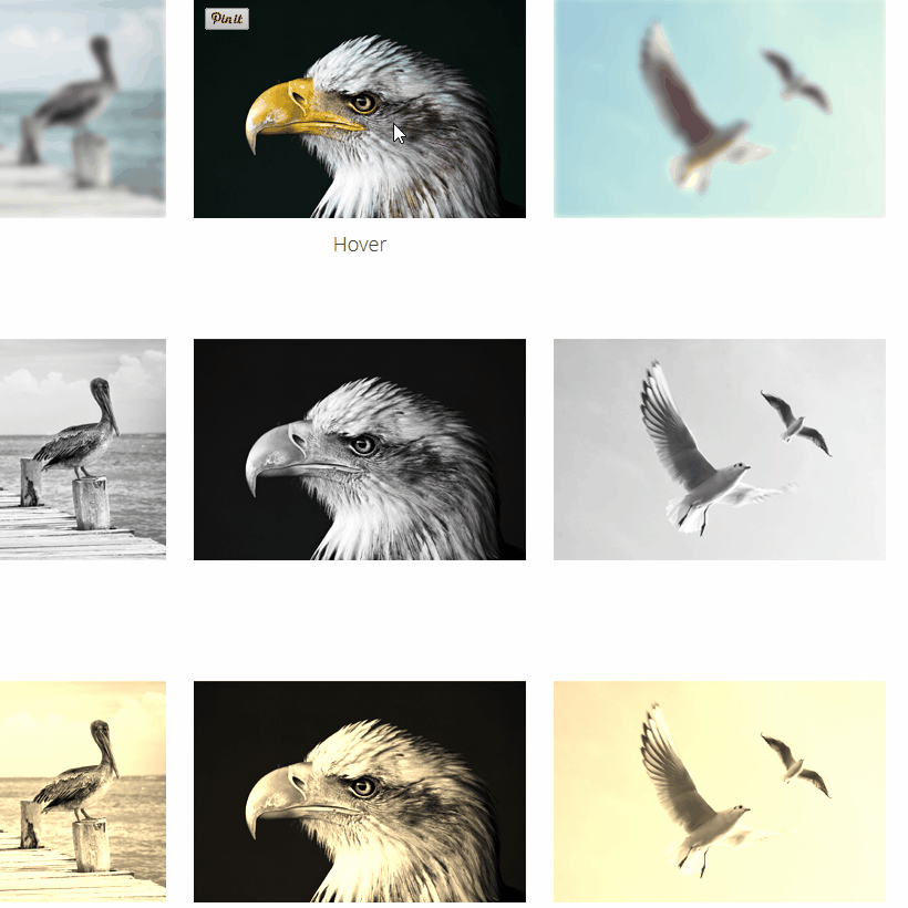 CSS Image Hover Effects Fribly