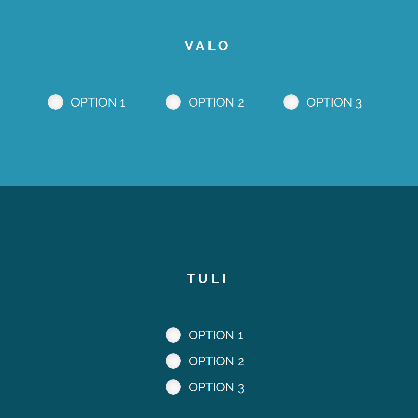 Pure CSS Radio Button Inspiration Coding Fribly