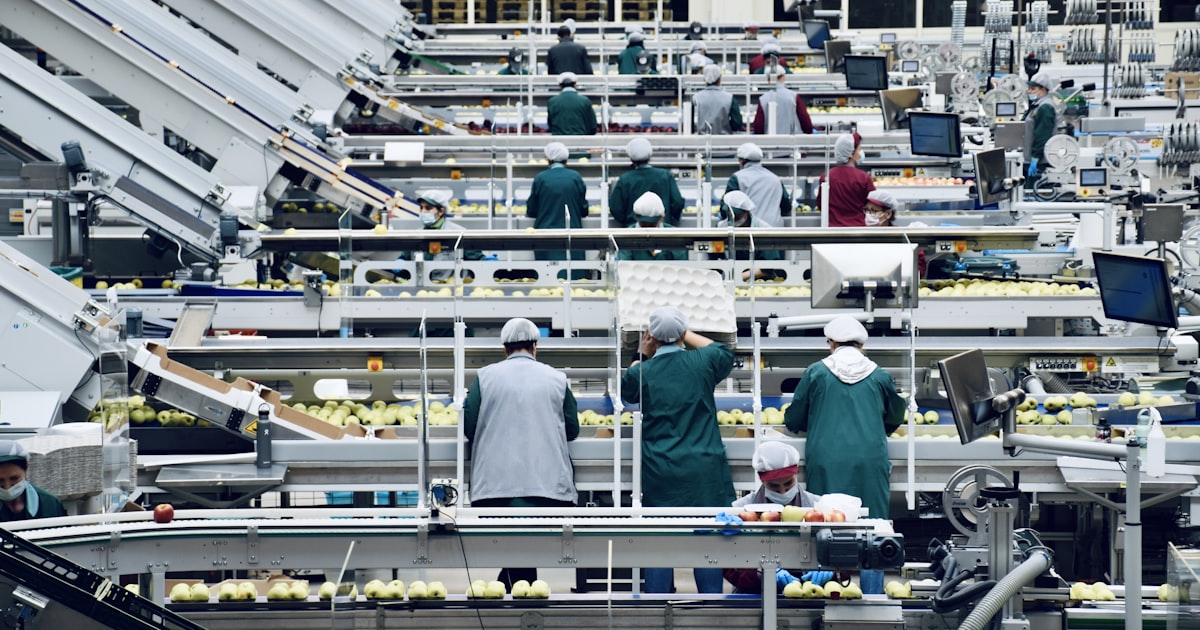 Top Chinese Food Processing Equipment
