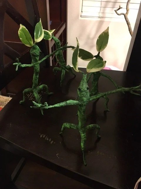 A Group of Bowtruckles. Photo Credit: J.H. Winter