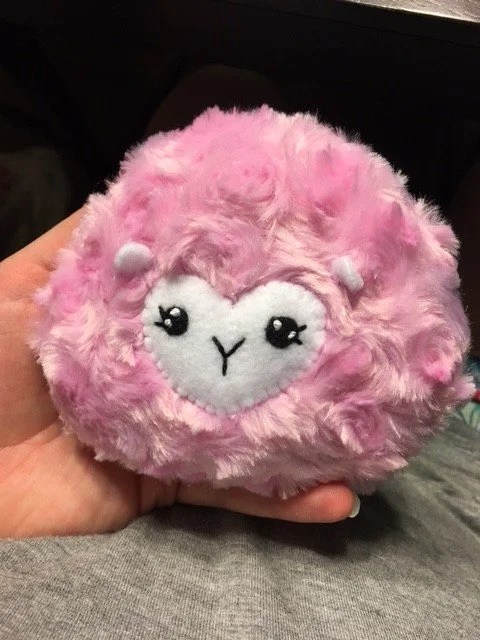 Pink Pygmy Puff. Image Credit: J.H. Winter