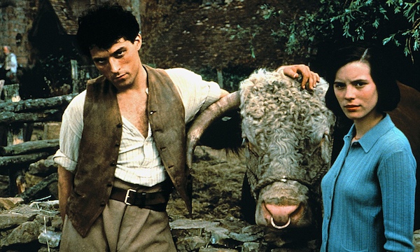 1995 Cold Comfort Farm