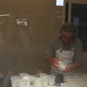 Cheese-making in Brittany, France