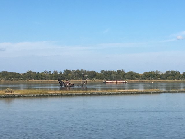 Savannah (26)