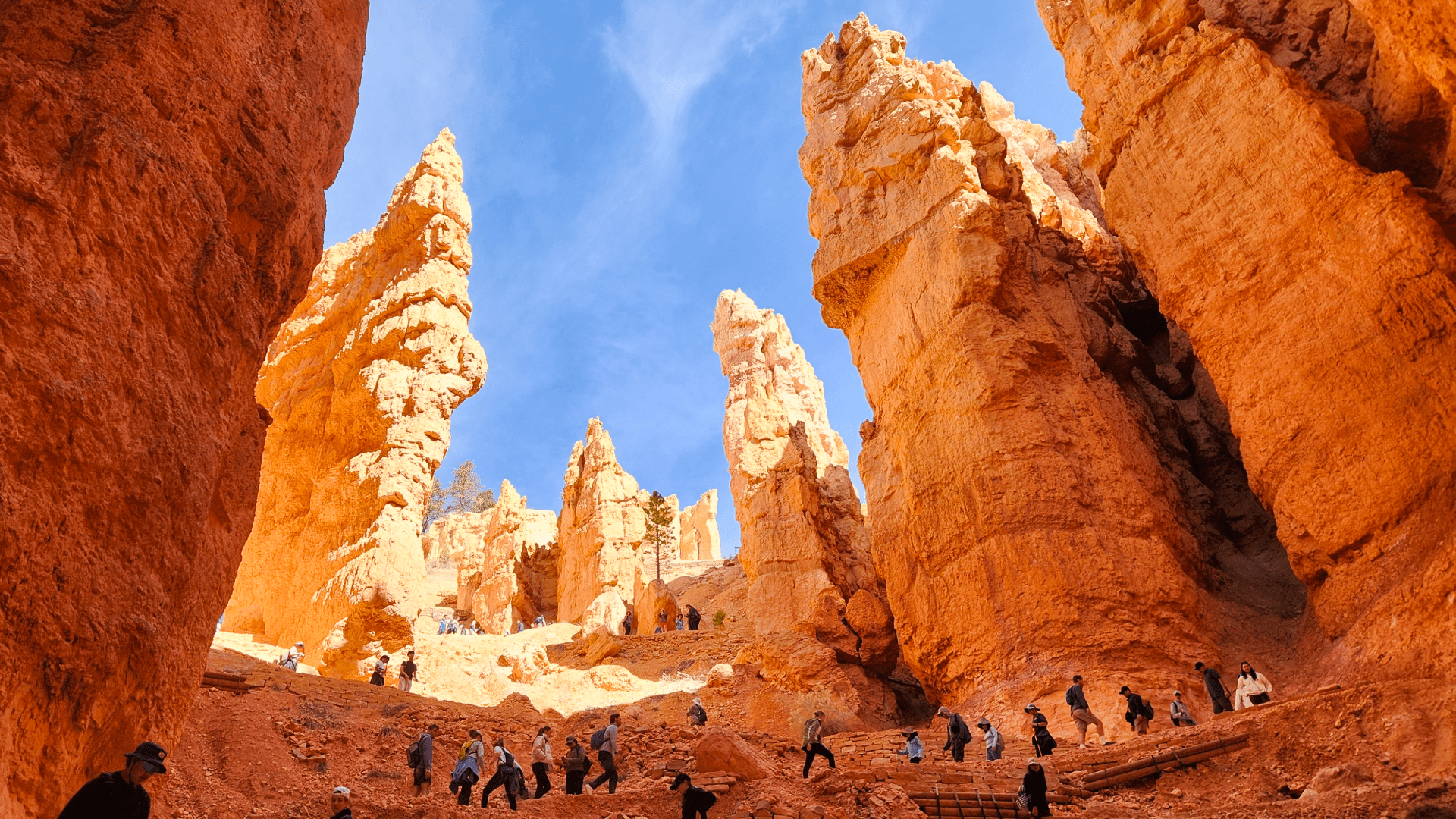 On the Wall Street trail in Bryce Canyon National Park