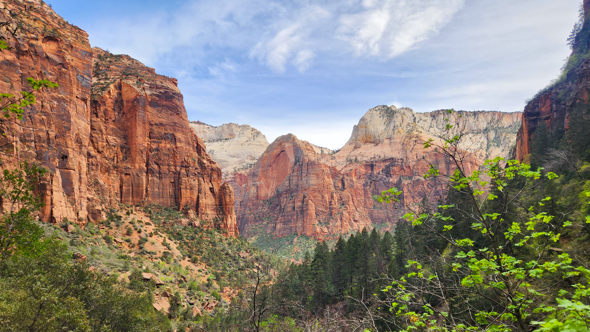 Zion National Park