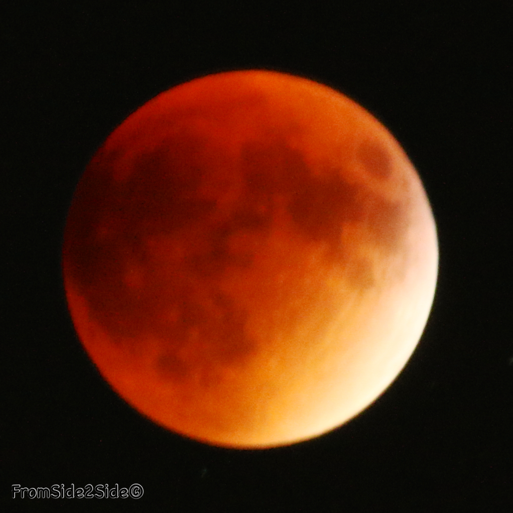 eclipse lune 2015 41