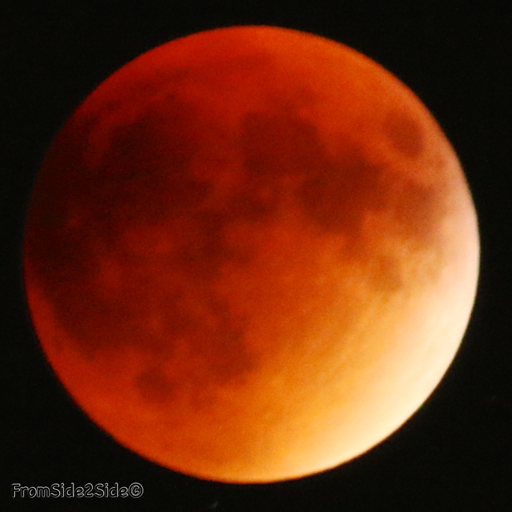 eclipse lune 2015 42