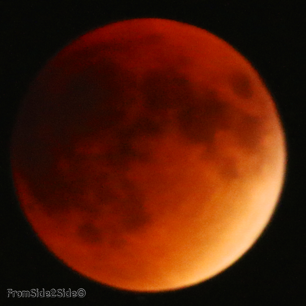 eclipse lune 2015 43