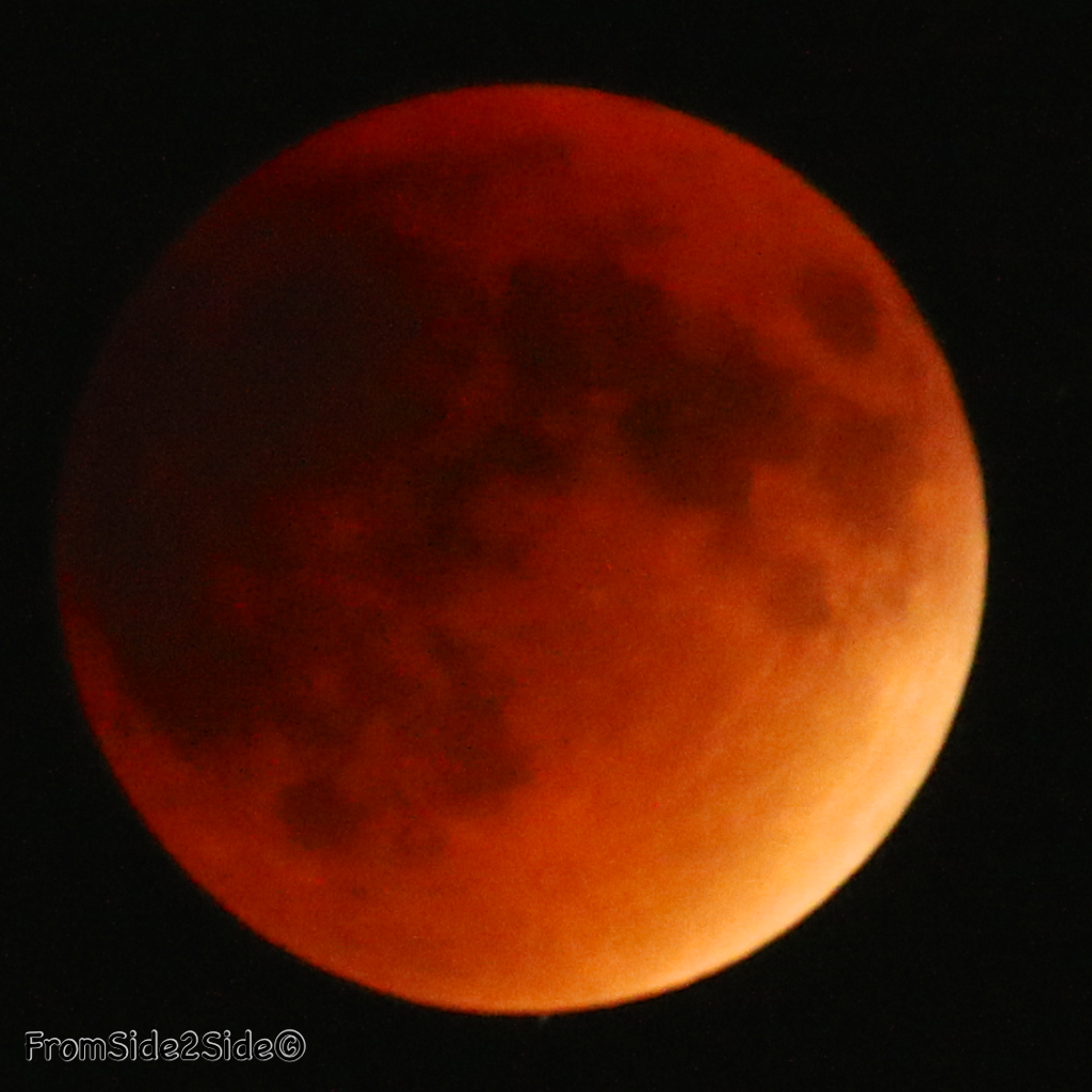 eclipse lune 2015 44