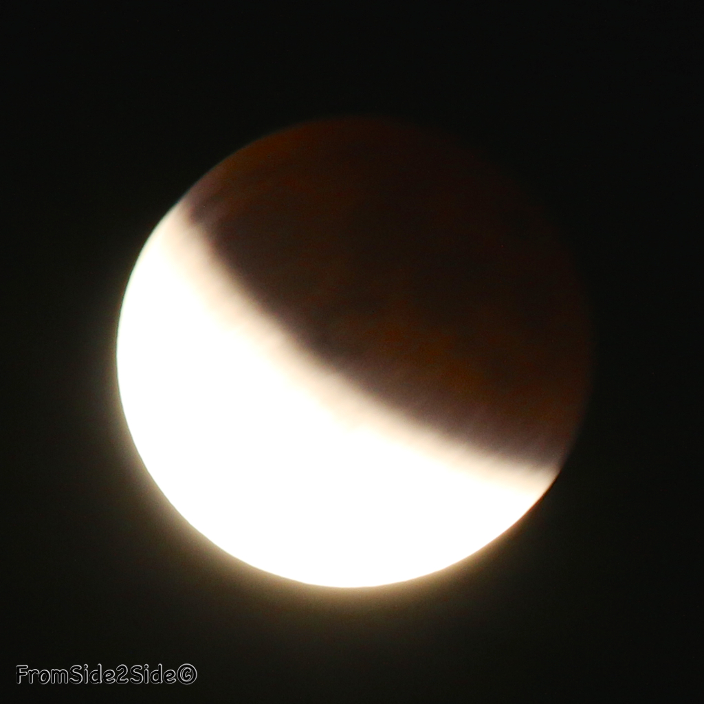 eclipse lune 2015 50