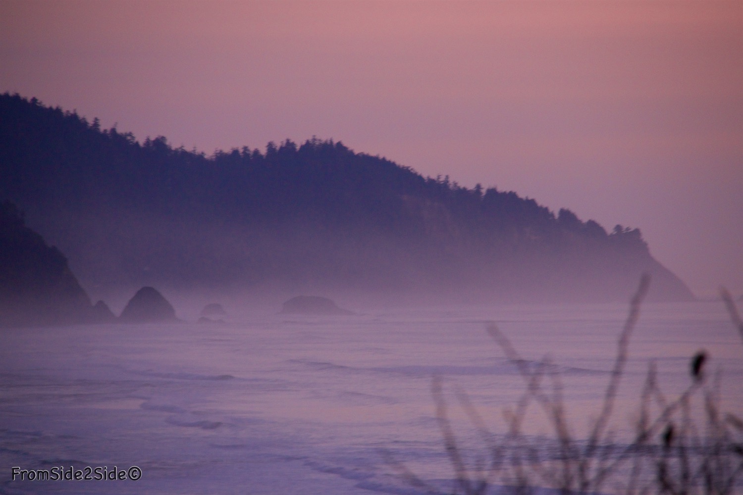 Oregon Coasts 3