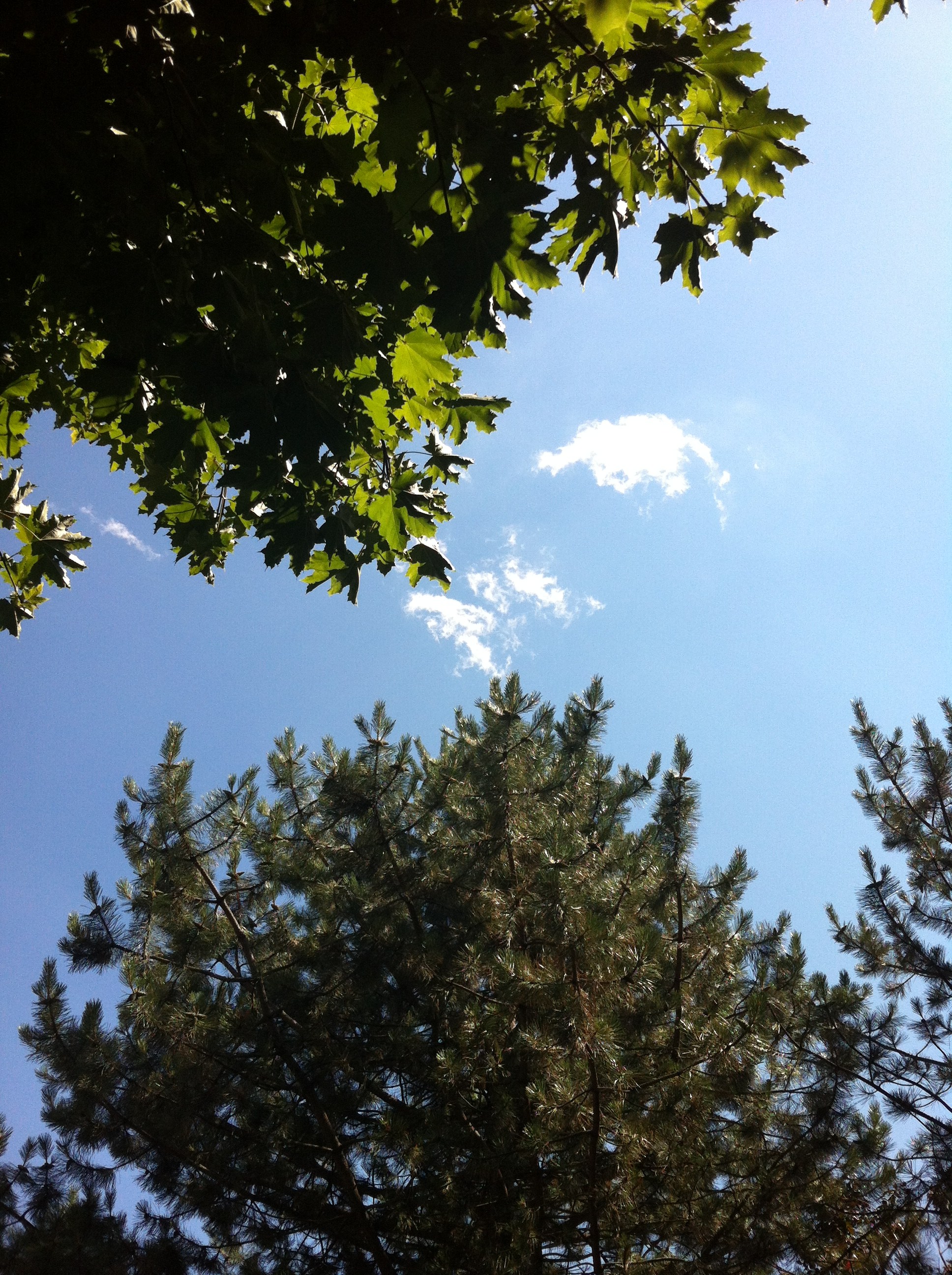 The end of August (sigh)