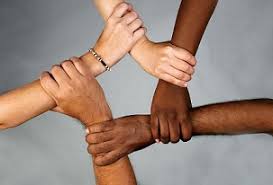 Diversity in MG Lit #1