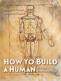 book cover of "How to Build a Human," featuring a sketch of the human body