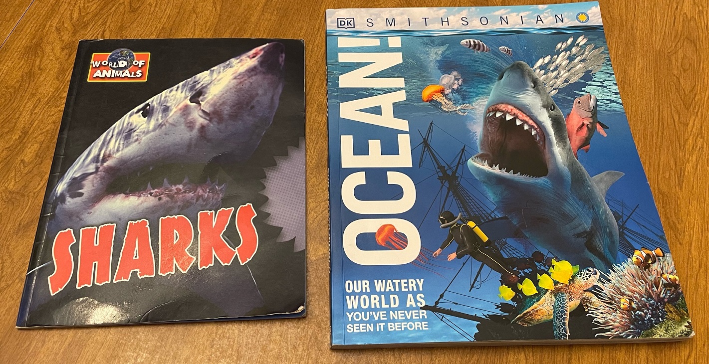 STEM Tuesday --- Oceans -- Writing Tips & Resources